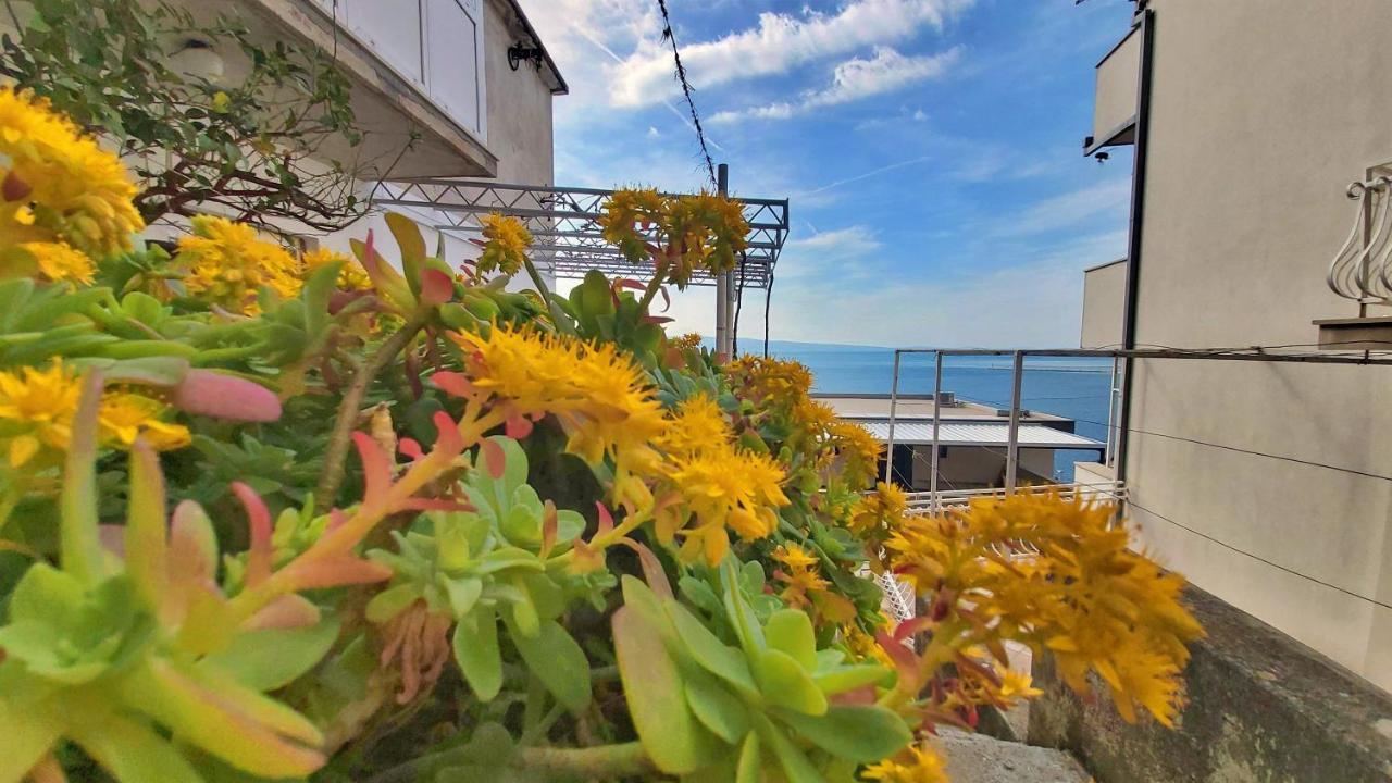 Apartment Cedo Omiš Zewnętrze zdjęcie