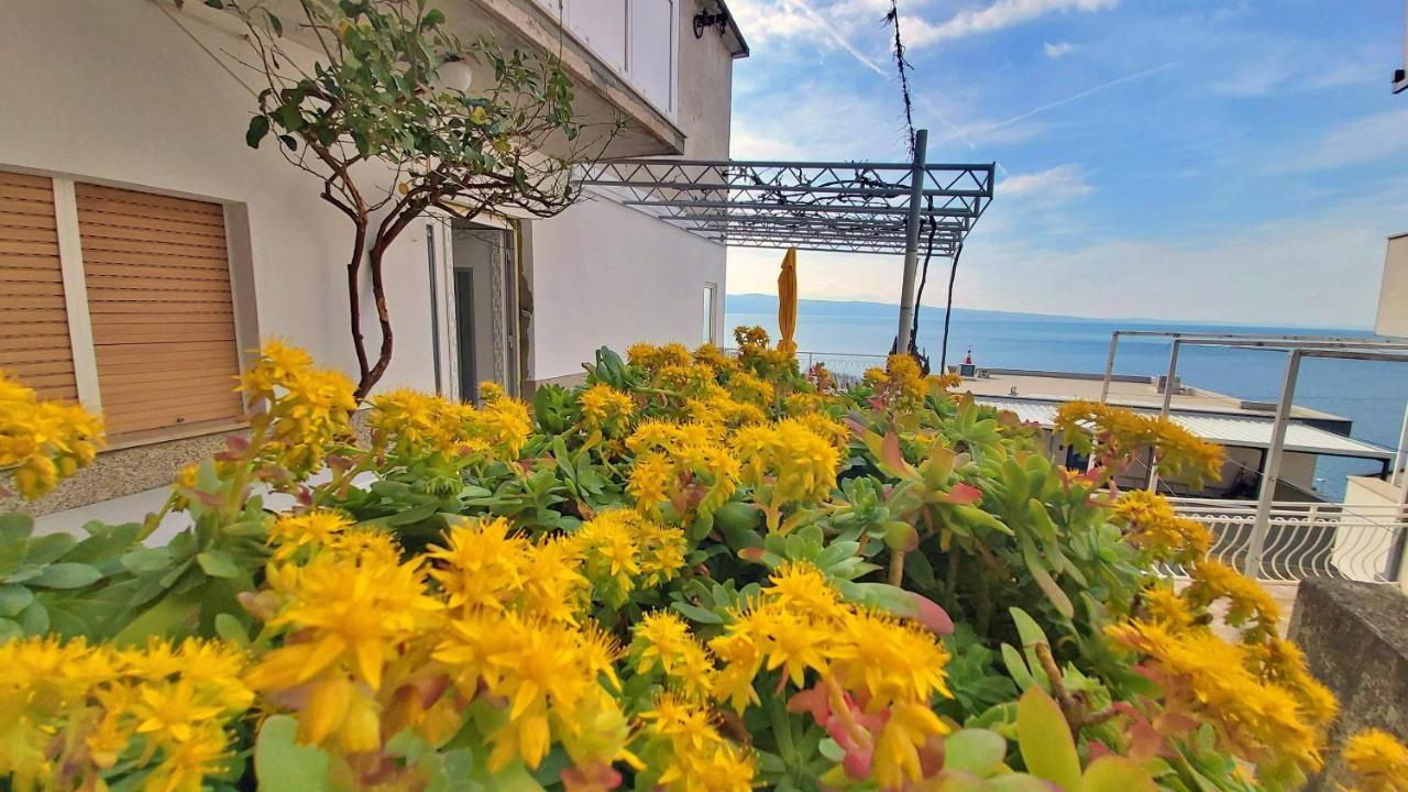 Apartment Cedo Omiš Zewnętrze zdjęcie